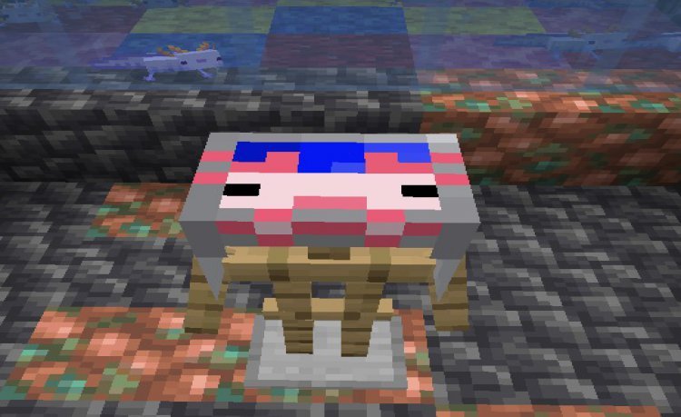 MCPE/Bedrock Axolotl Armor and Sword Add-on