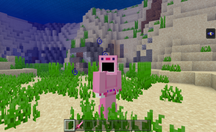 MCPE/Bedrock Axolotl's Things