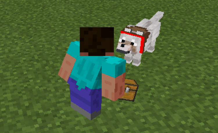 MCPE/Bedrock Better Wolves - Chesteable Wolves