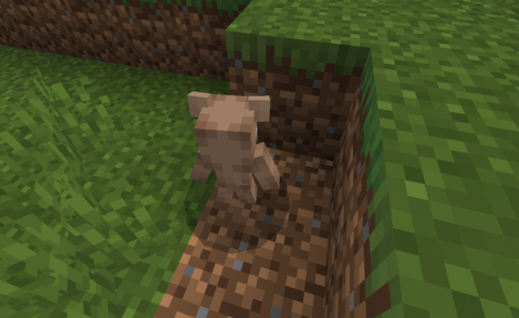MCPE/Bedrock CB Builder V1.1