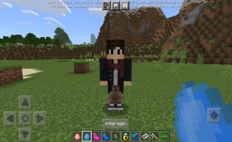 MCPE/Bedrock Craft Sims