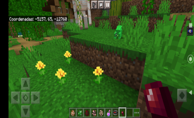 MCPE/Bedrock Darwin's Frog