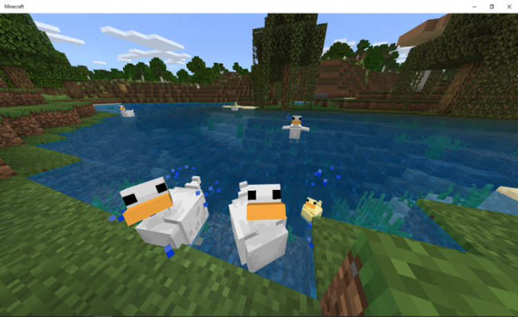 MCPE/Bedrock Duck Addon