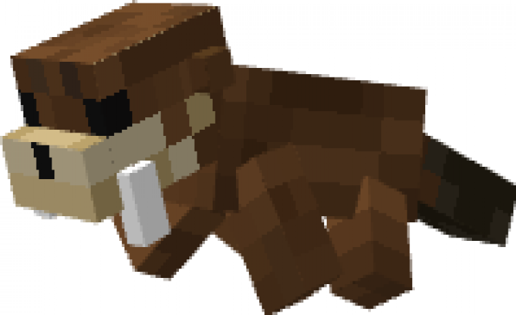 MCPE/Bedrock Finally Otters! (New Variant)