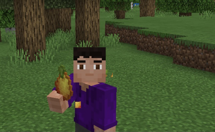 MCPE/Bedrock More Fruit Add-on