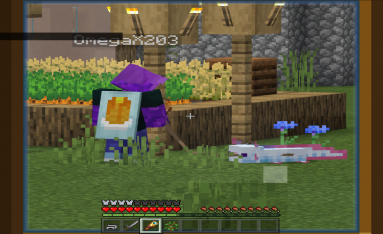 MCPE/Bedrock My Friend The Axolotl V1.0