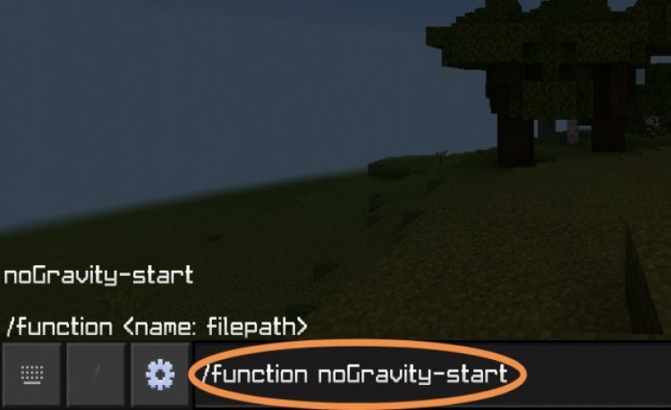 MCPE/Bedrock No Gravity Challenge