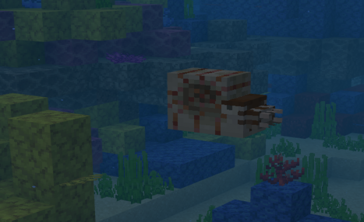 MCPE/Bedrock Not So Big Nautilus Addon