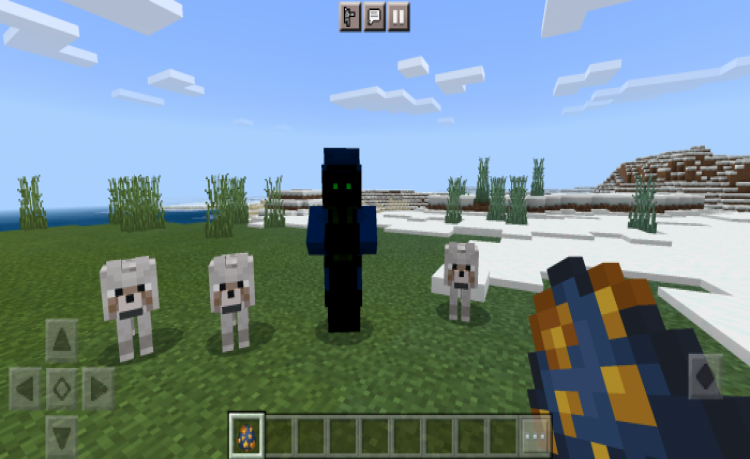 MCPE/Bedrock OP Wandering Trader