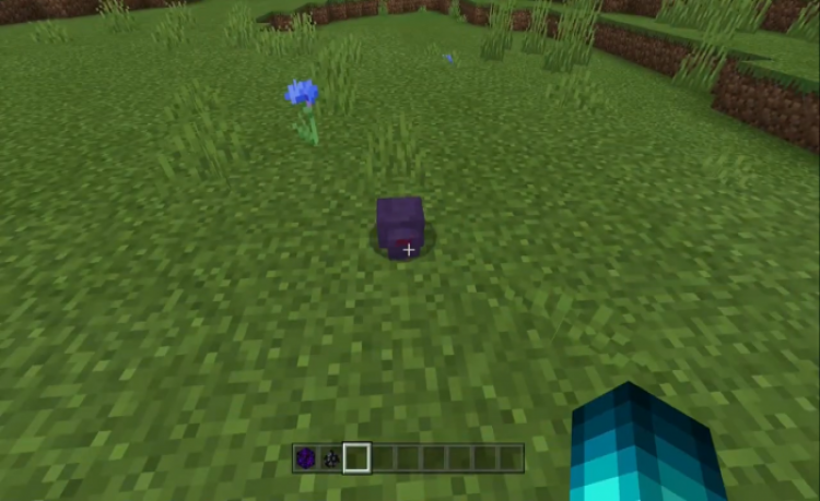 MCPE/Bedrock Pancakes Better Endermites