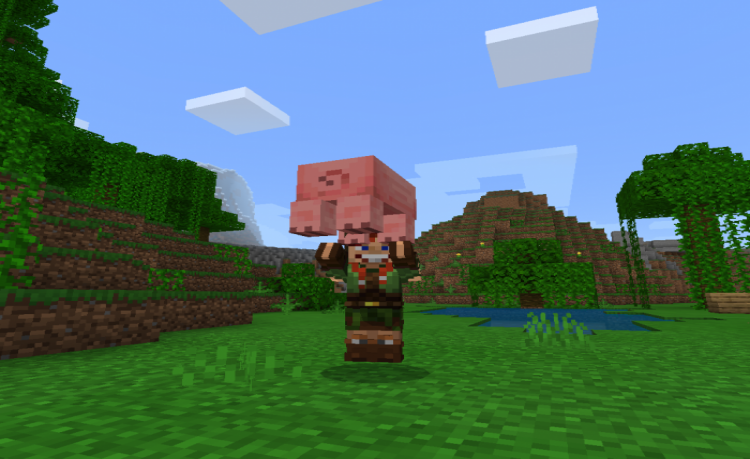 MCPE/Bedrock Pick up & Carry + Multiplayer Home System