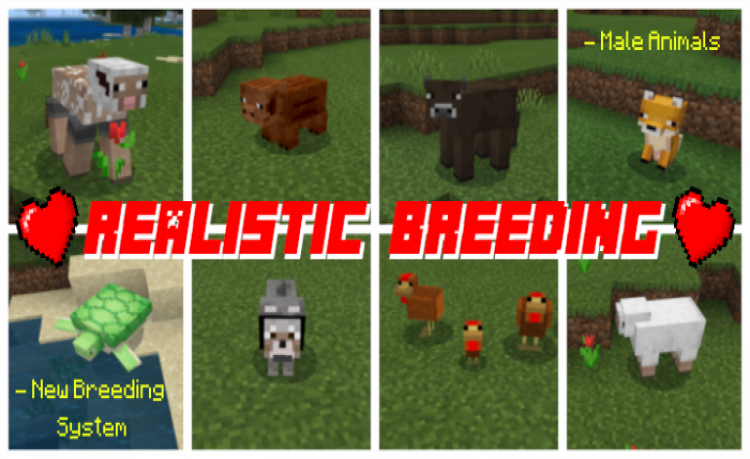 MCPE/Bedrock Realistic Breeding Addon (Male & Female Animals!)