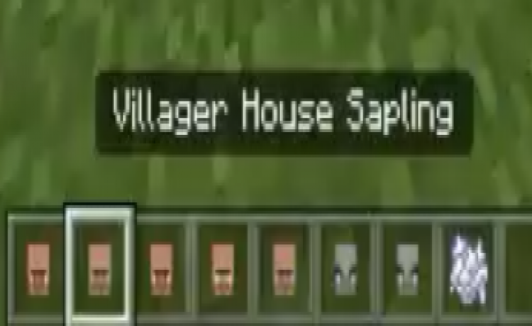 MCPE/Bedrock Structure Sapling