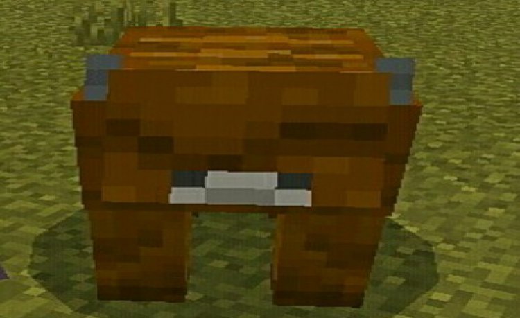 MCPE/Bedrock V1 Survivalcraft More Food
