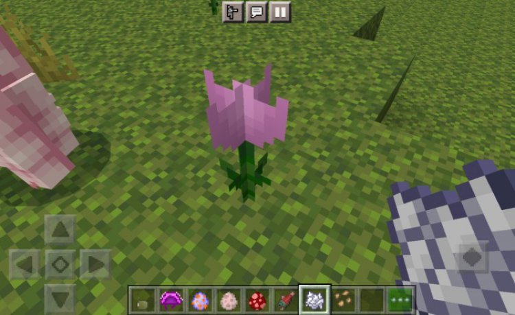 MCPE/Bedrock The Axolotl Lushlands
