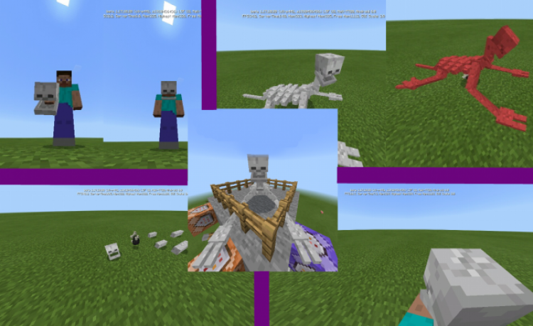 MCPE/Bedrock The Boned Addon V1