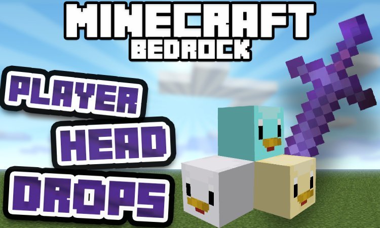 Player Head Drops Addon (Download/Tutorial) - Minecraft Bedrock